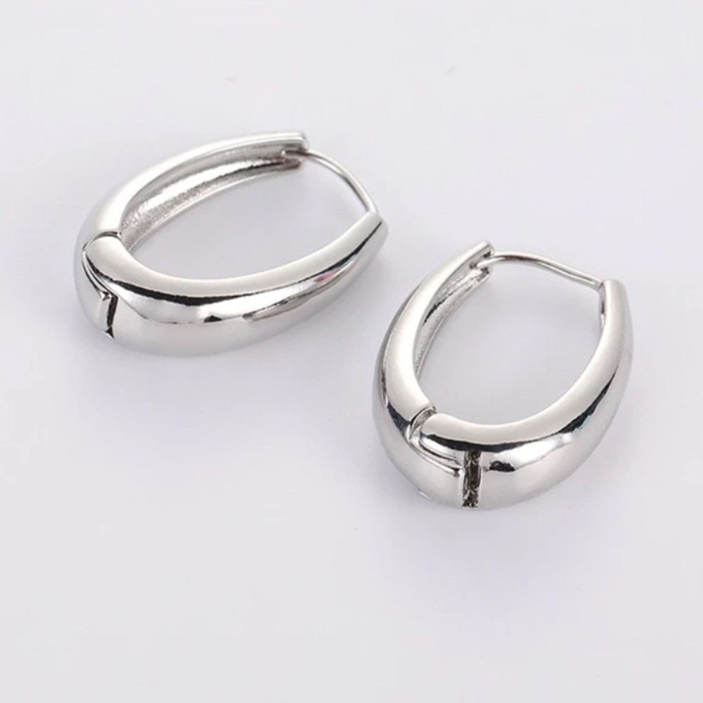 NWT STERLING SILVER LUXURY EARRINGS